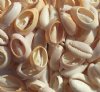 175 grams of Cut Back Cowrie Shells